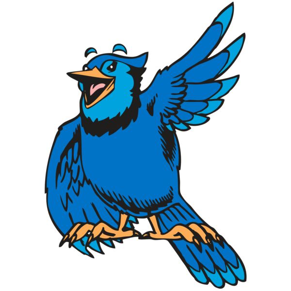 BAW BLUEJAY 06 RC Thumbnail