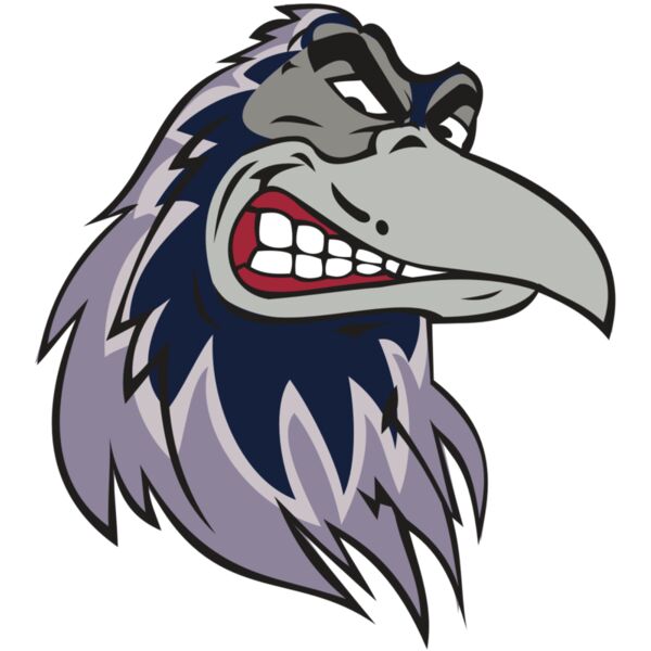 RAVEN HD0504 RQC Thumbnail